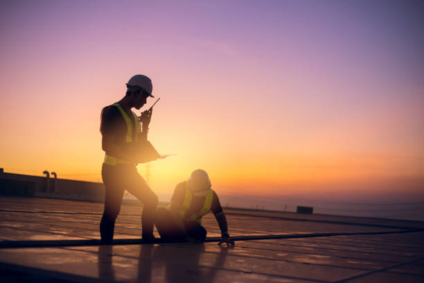 Best Roof Moss and Algae Removal  in Grosse Pointe Farms, MI