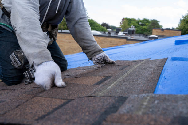 Best Roof Coating and Sealing  in Grosse Pointe Farms, MI