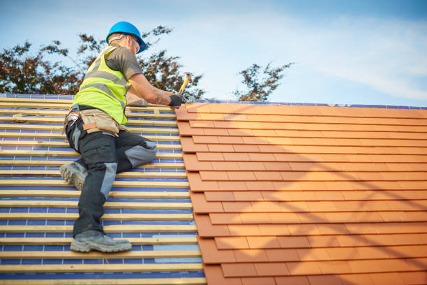 Best Asphalt Shingle Roofing  in Grosse Pointe Farms, MI
